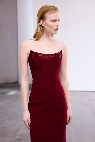 Evania Embellished Dress