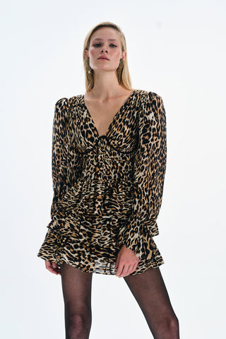 Leopard-print Mini Dress